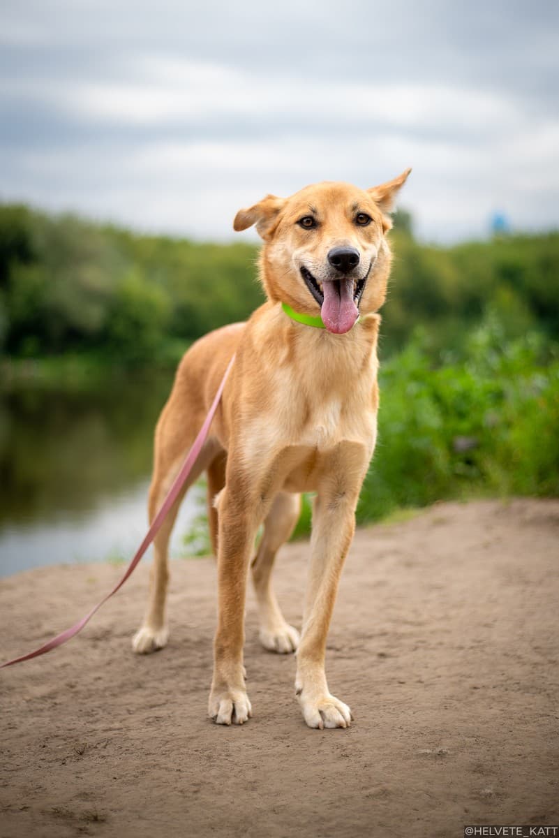 Молли медиа 7