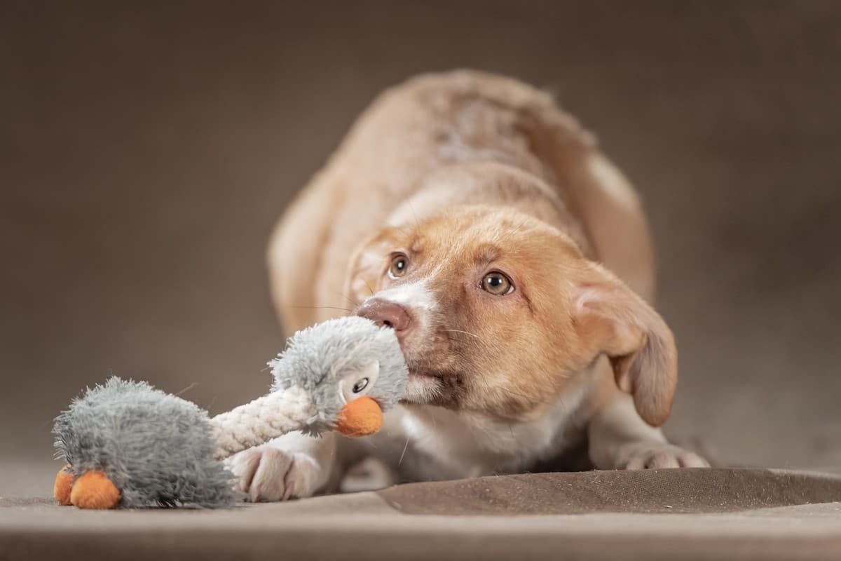 Марсель медиа 5