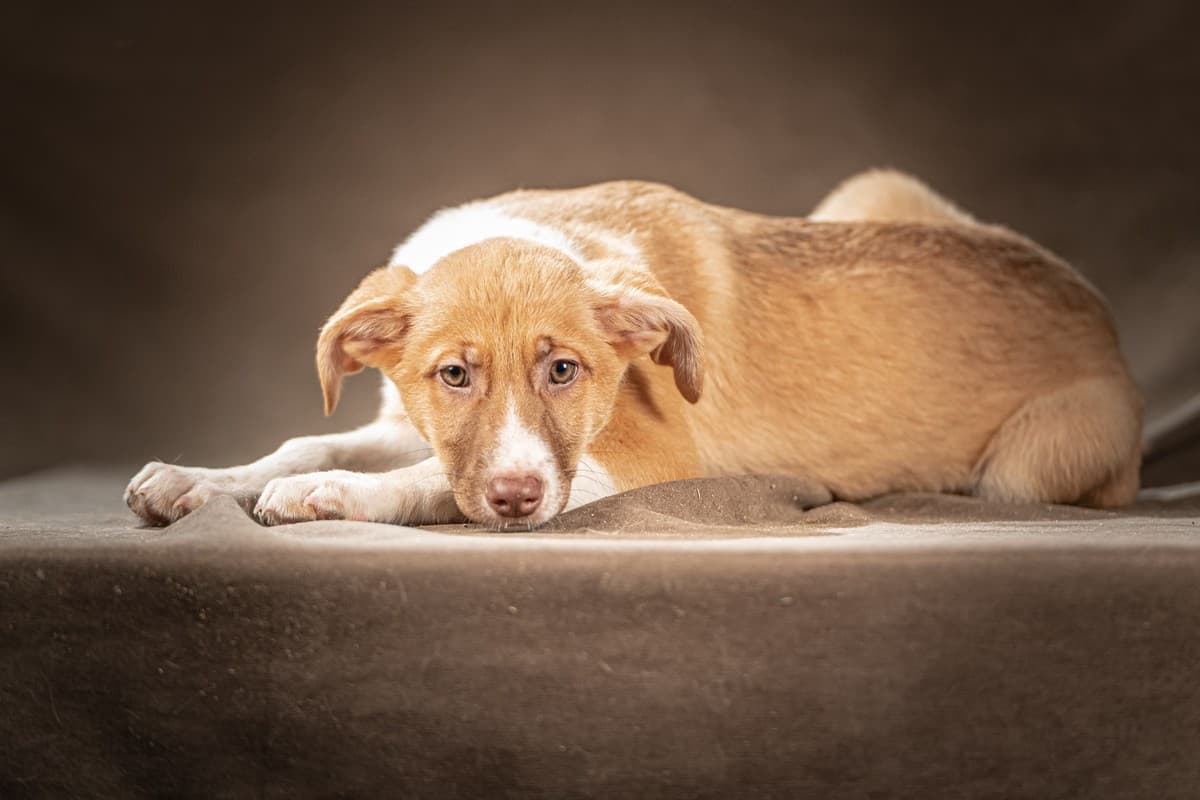 Марсель медиа 6