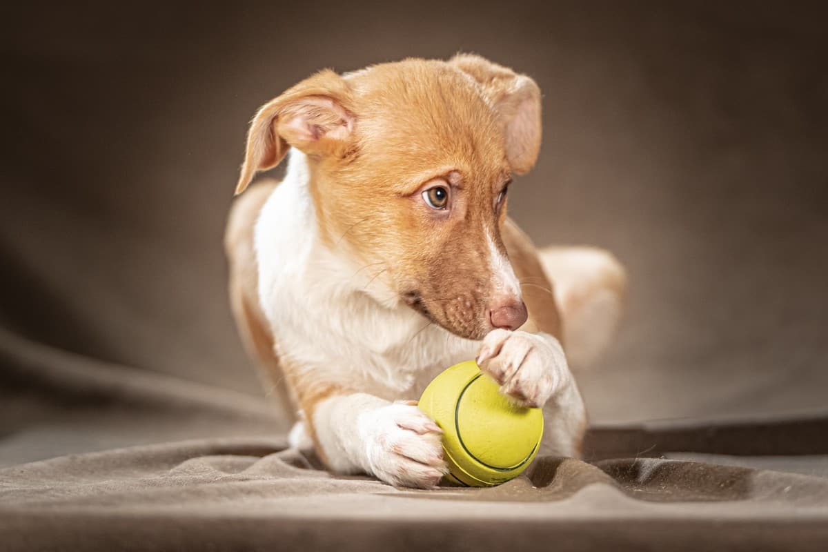 Марсель медиа 7