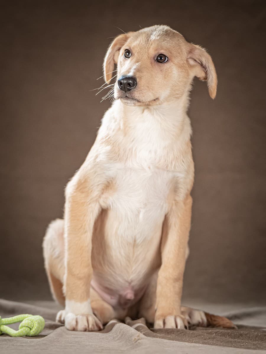 Марли медиа 2