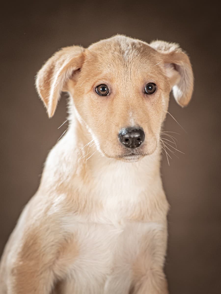 Марли медиа 3