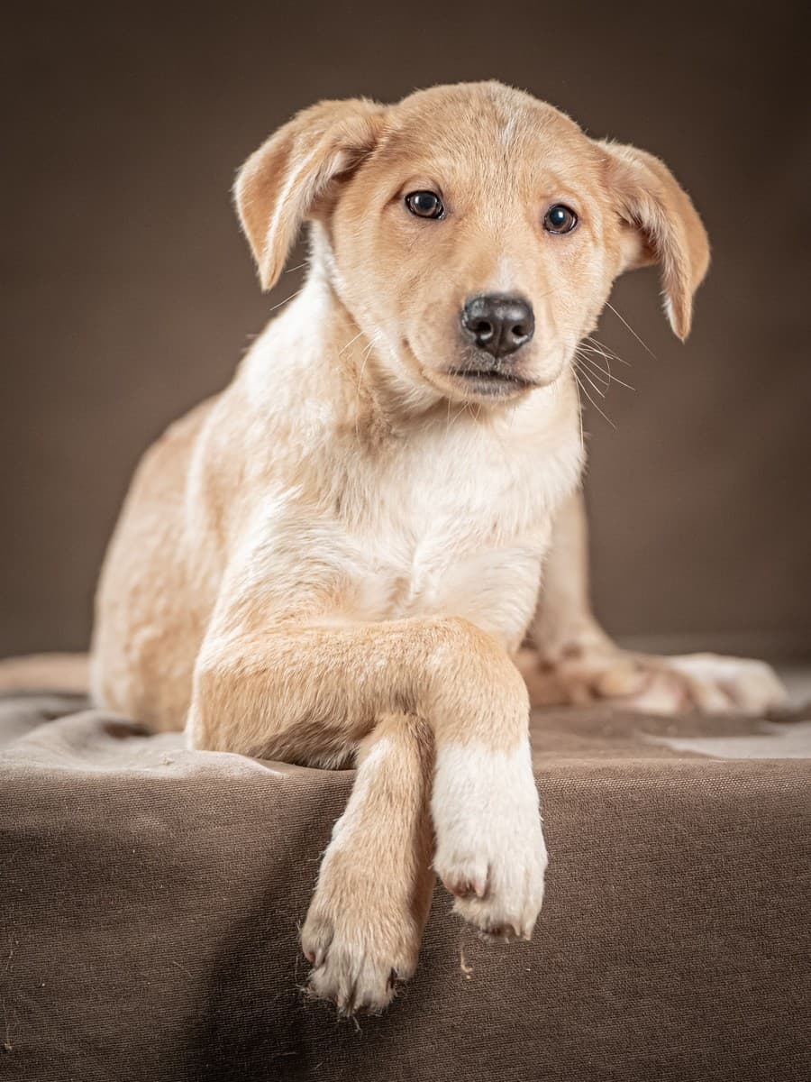 Марли медиа 5