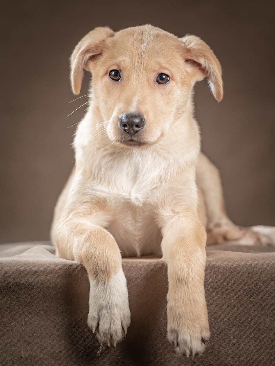 Марли медиа 6