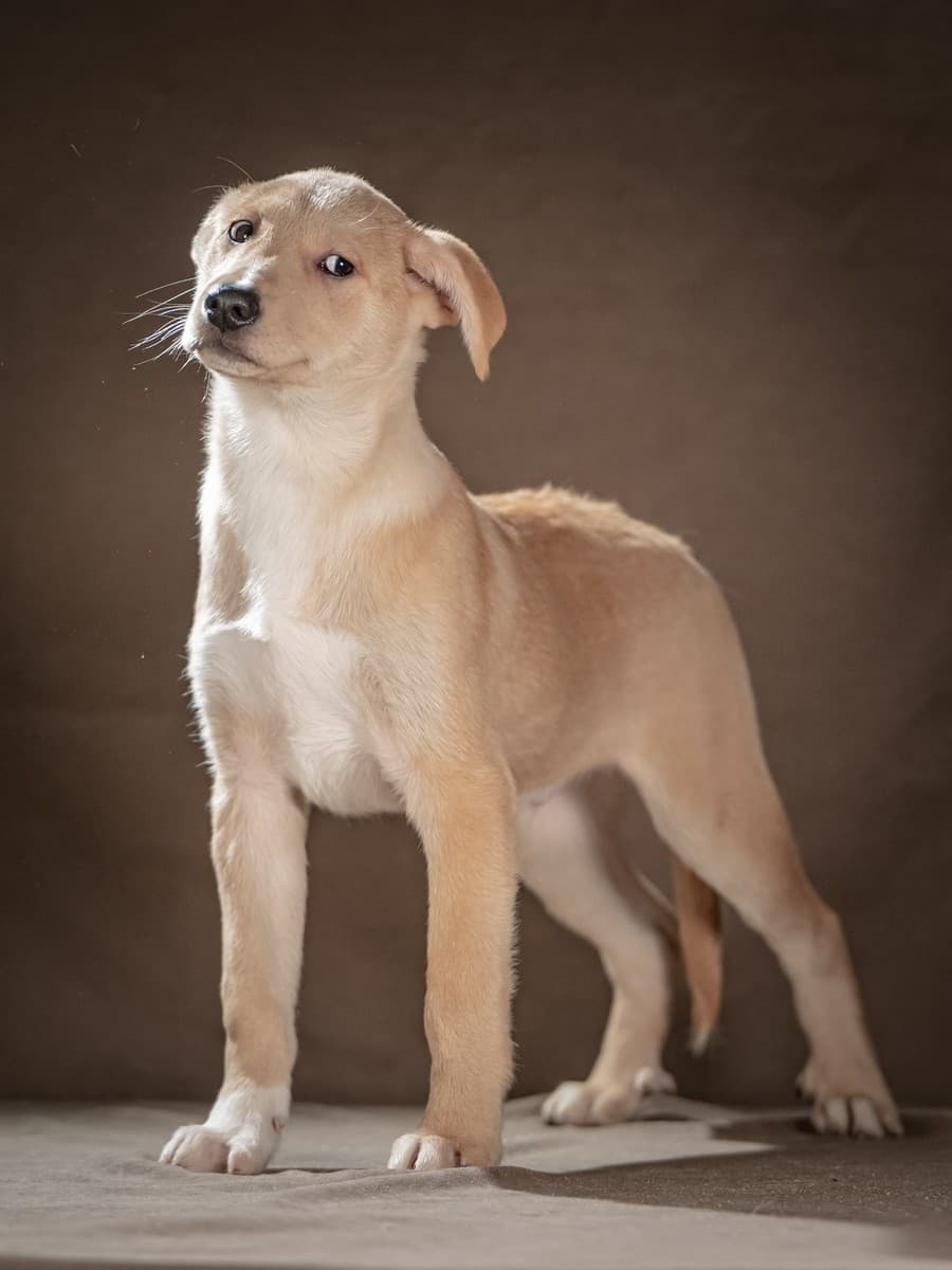 Марли медиа 8