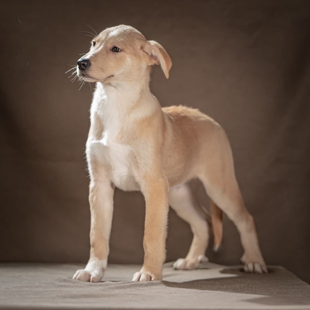 Марли медиа 7