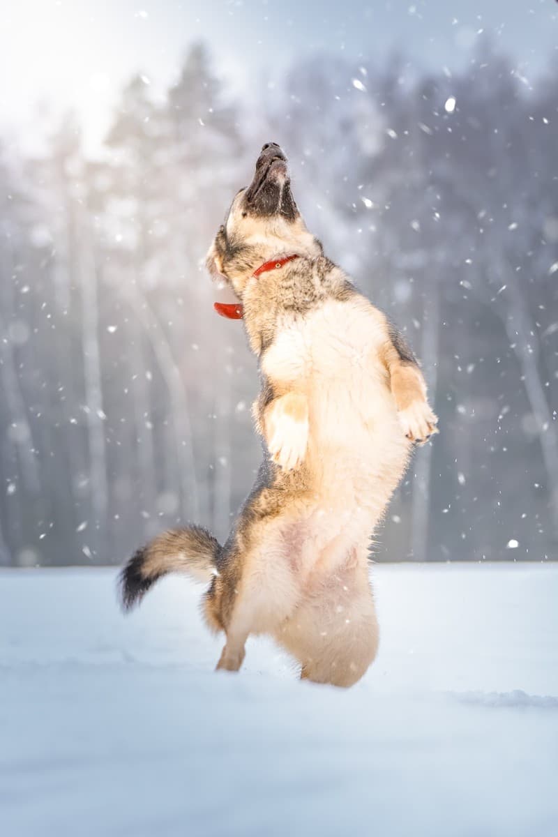 Эстери медиа 2