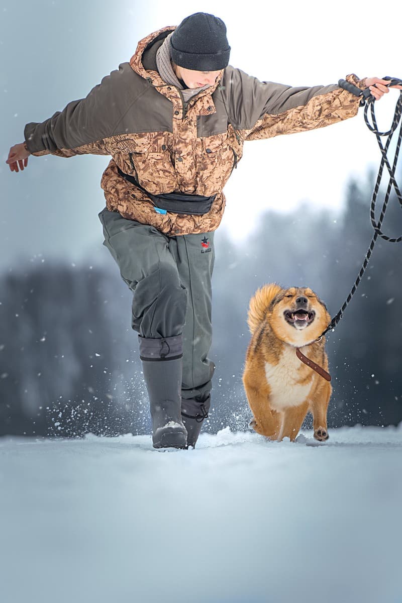 Синги медиа 9