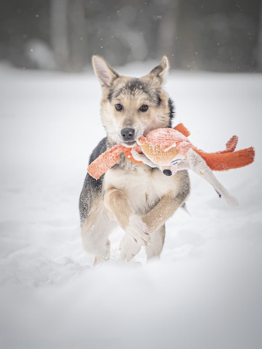 Мира медиа 6