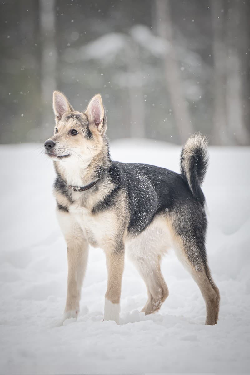 Мира медиа 7