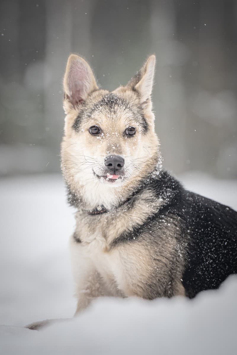 Мира медиа 9