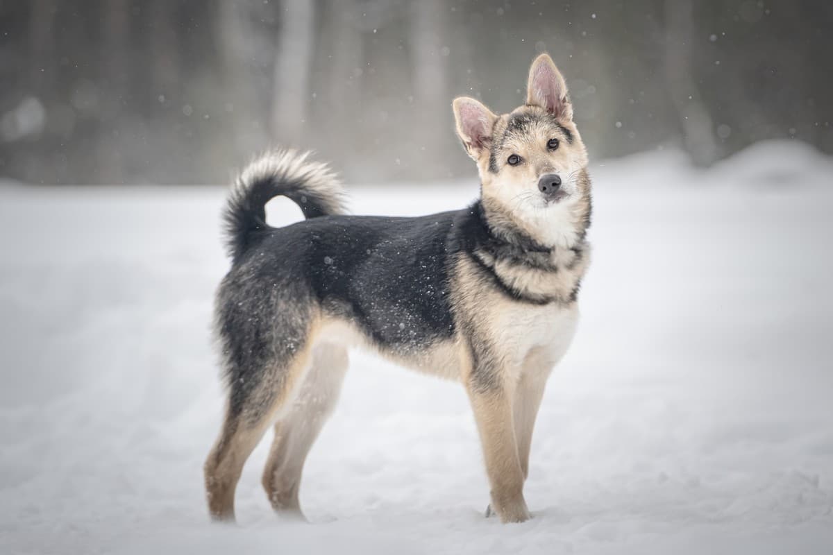 Мира медиа 10