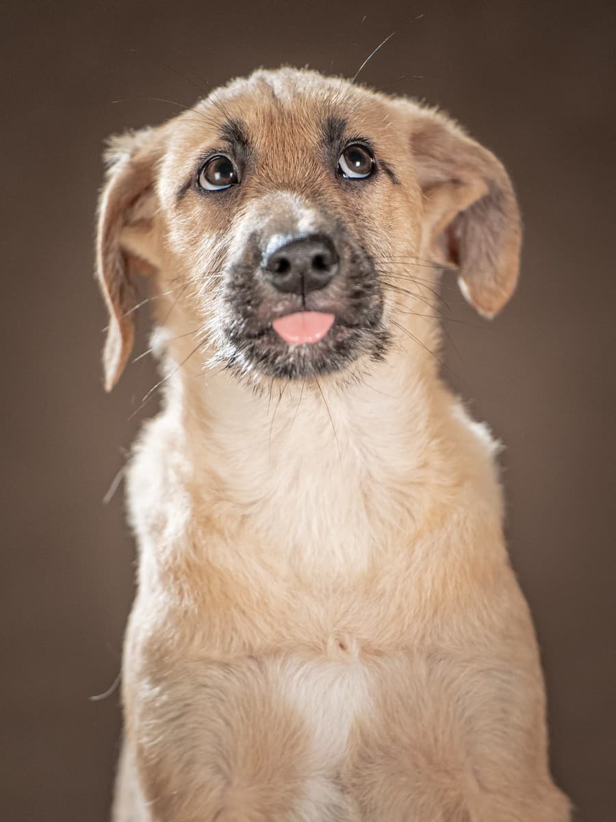 Мачо медиа 7