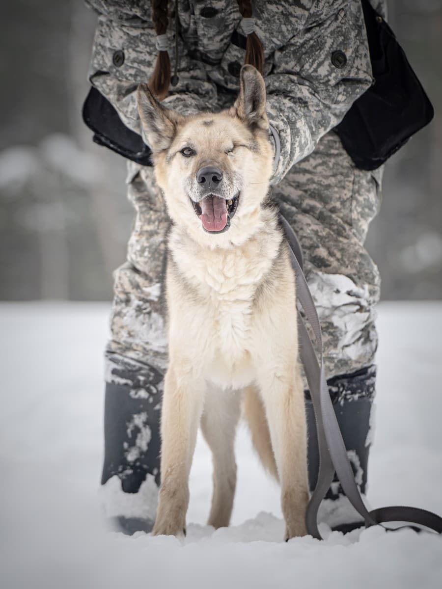 Грей медиа 6