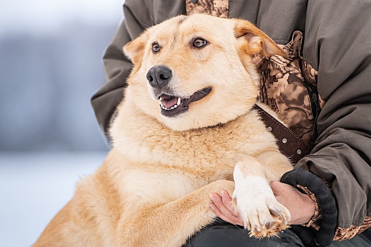 Линдси медиа 6