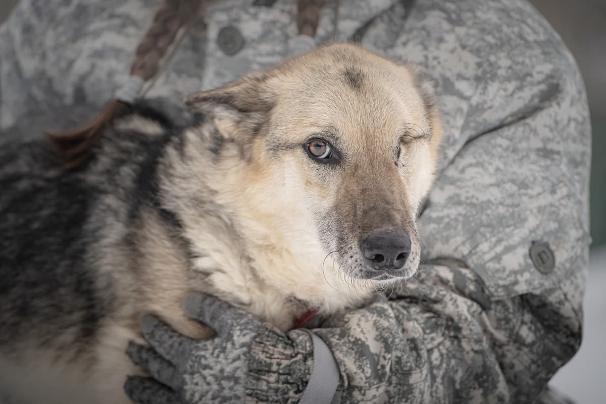 Грей медиа 10