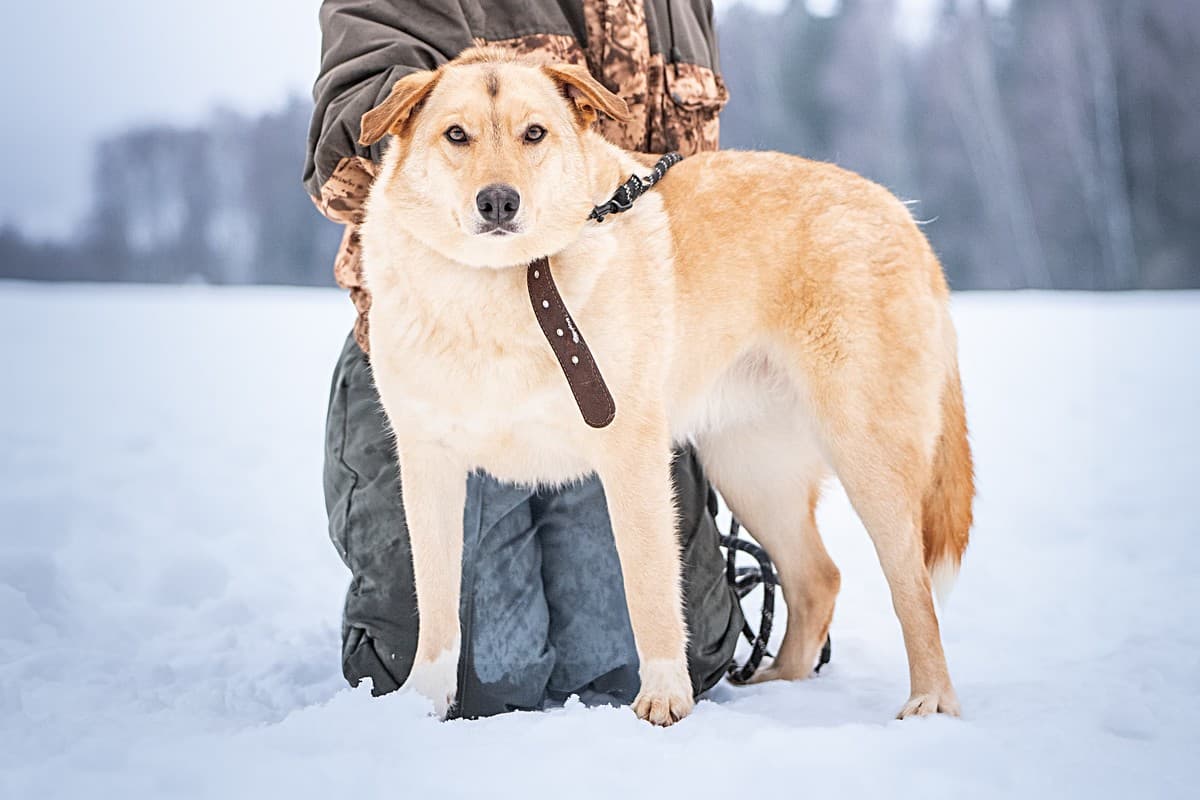 Линдси медиа 7