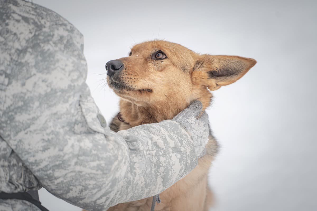 Санни медиа 5