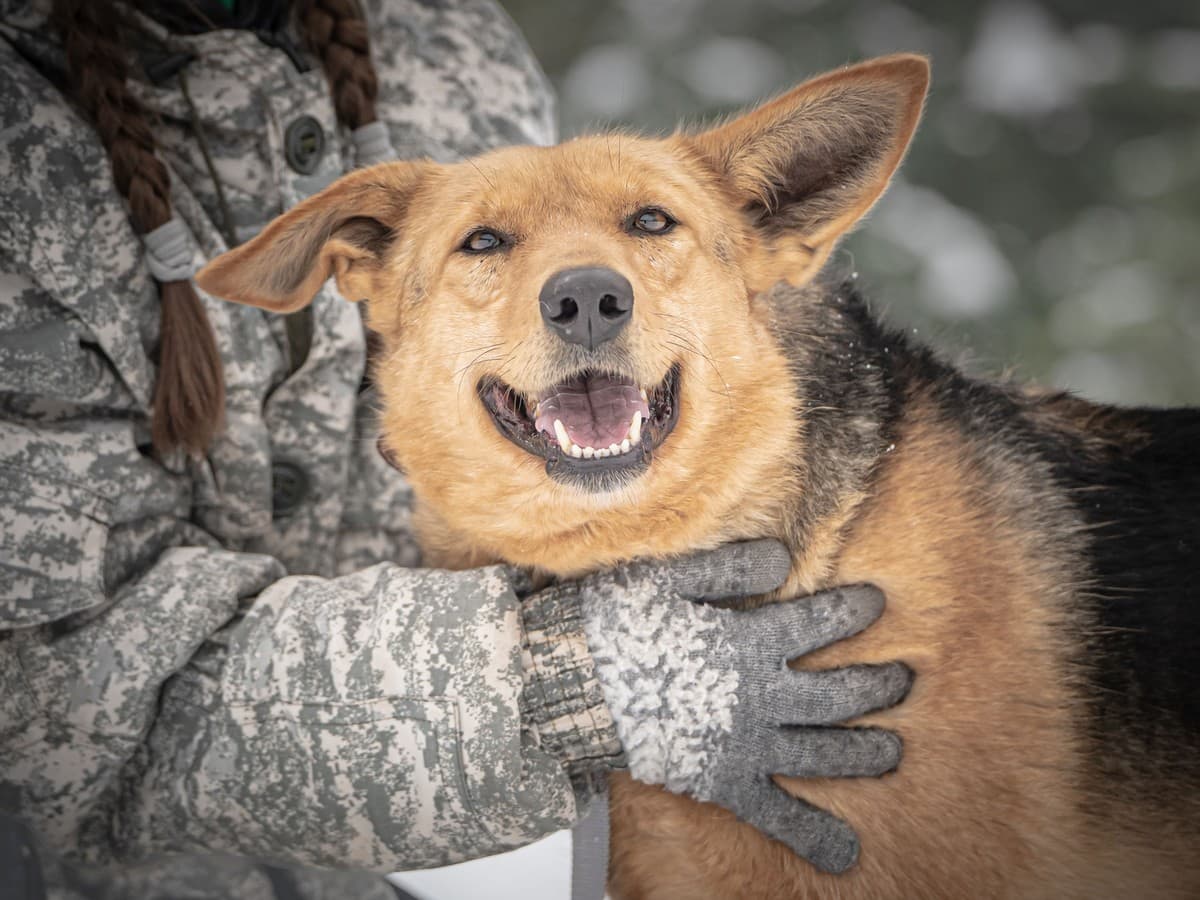 Санни медиа 6