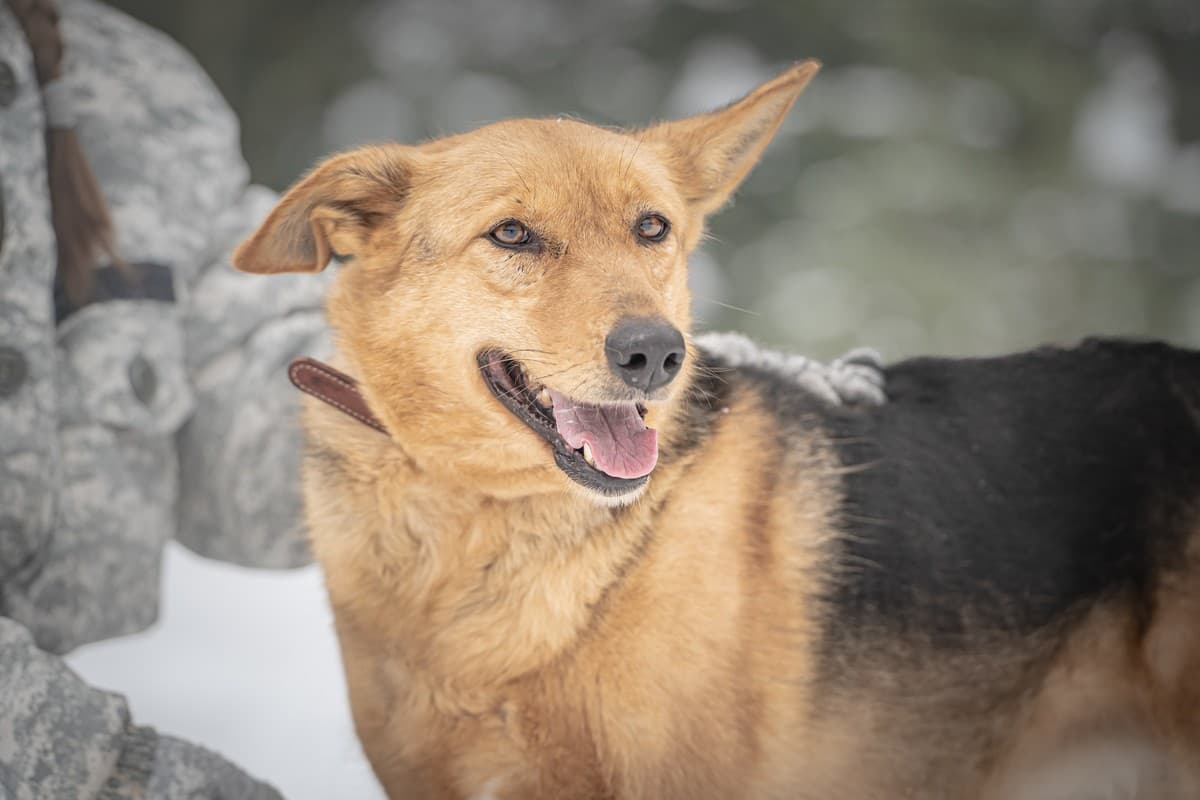 Санни медиа 7