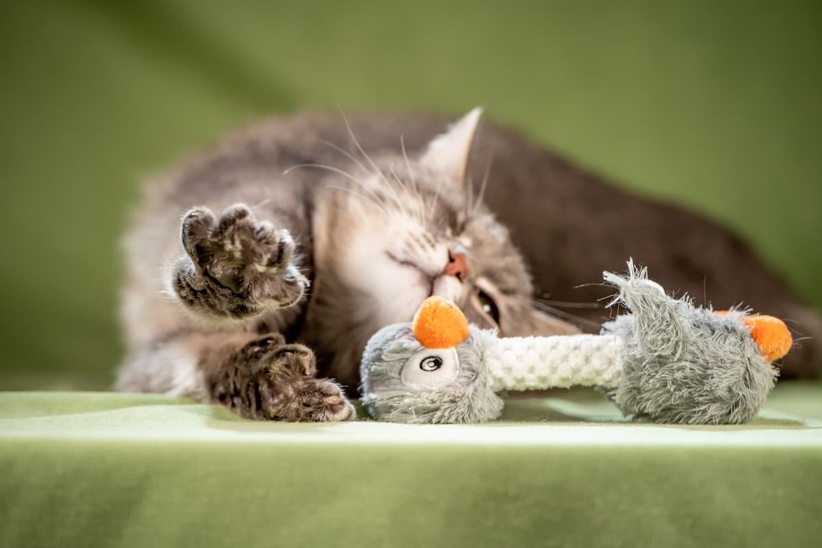 Милош медиа 2