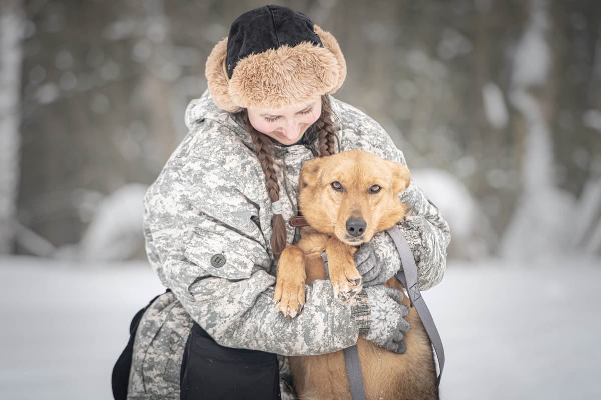 Санни медиа 8