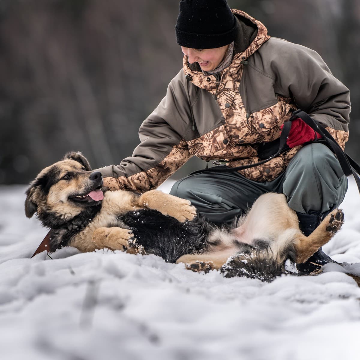 Патрик медиа 8