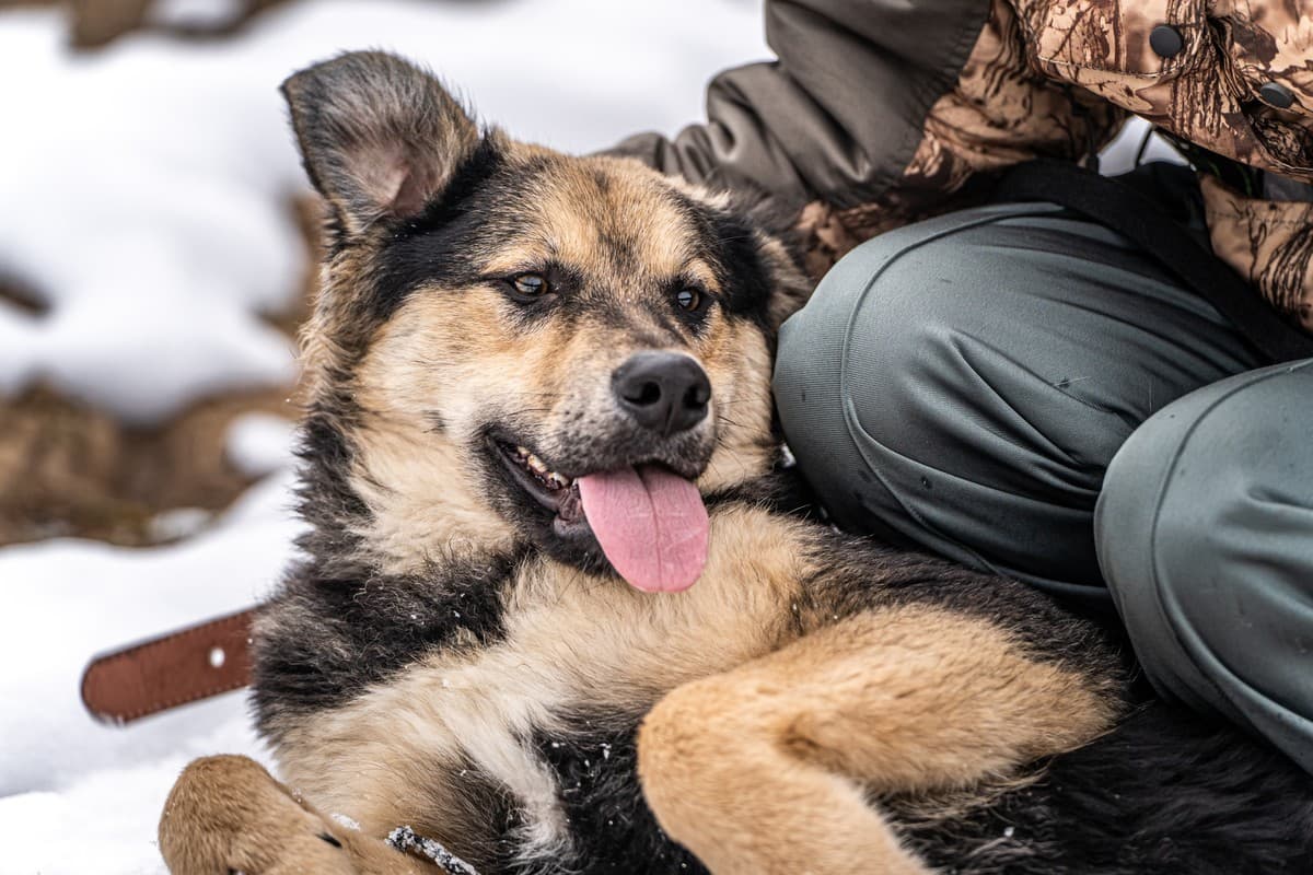 Патрик медиа 9