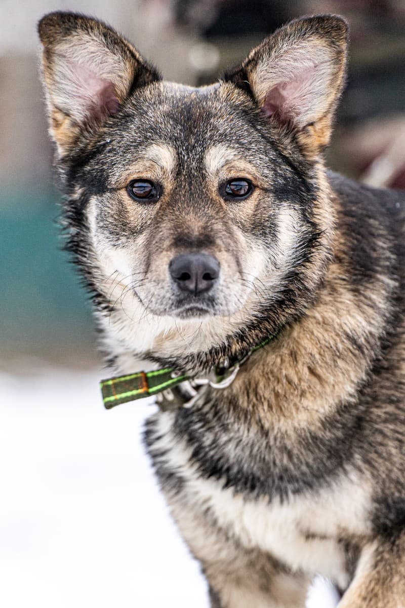 Хэппи медиа 5