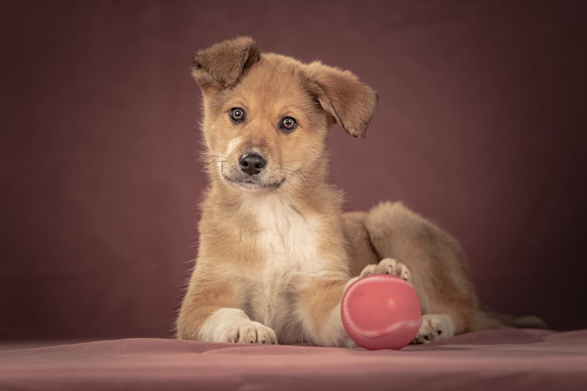 Матео медиа 6