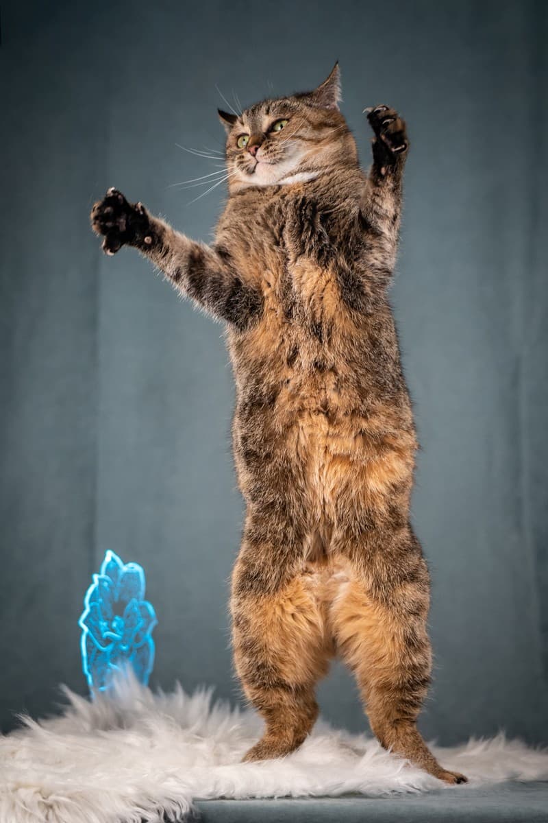 Ласкуша медиа 5