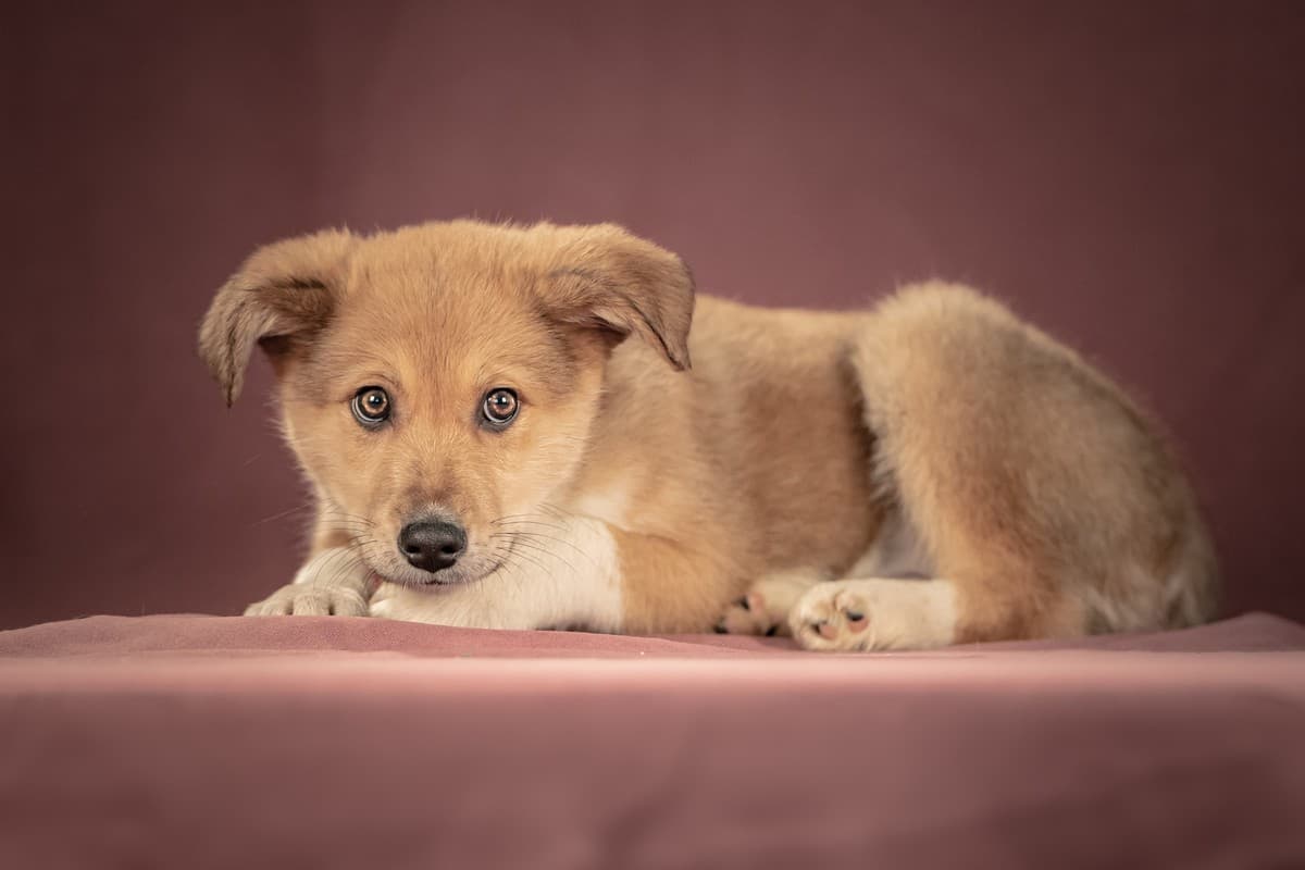 Матео медиа 10