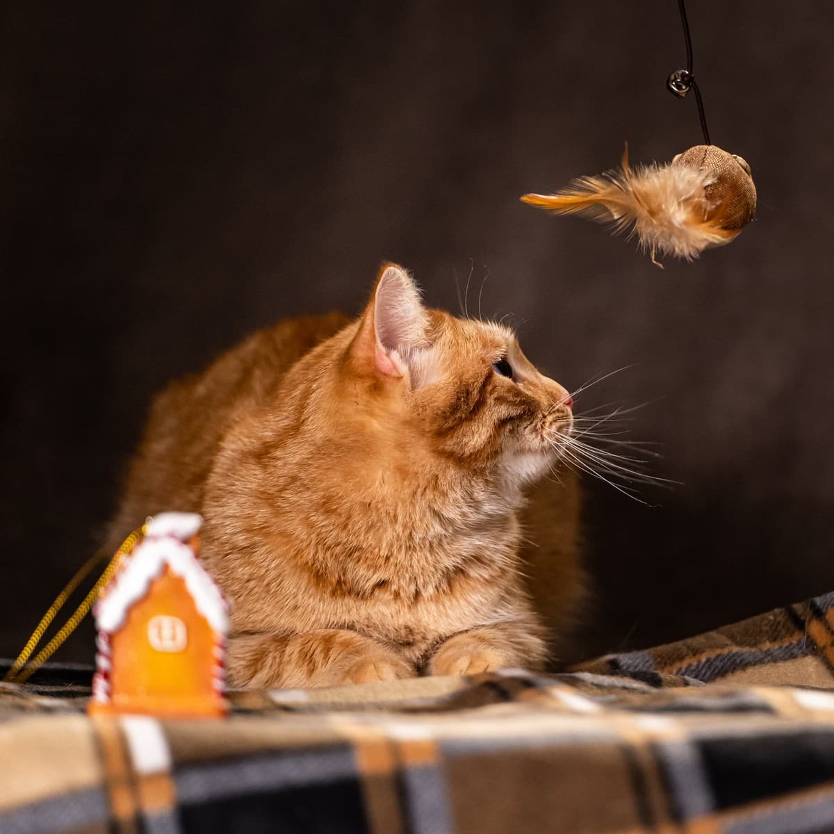 Ханни медиа 5