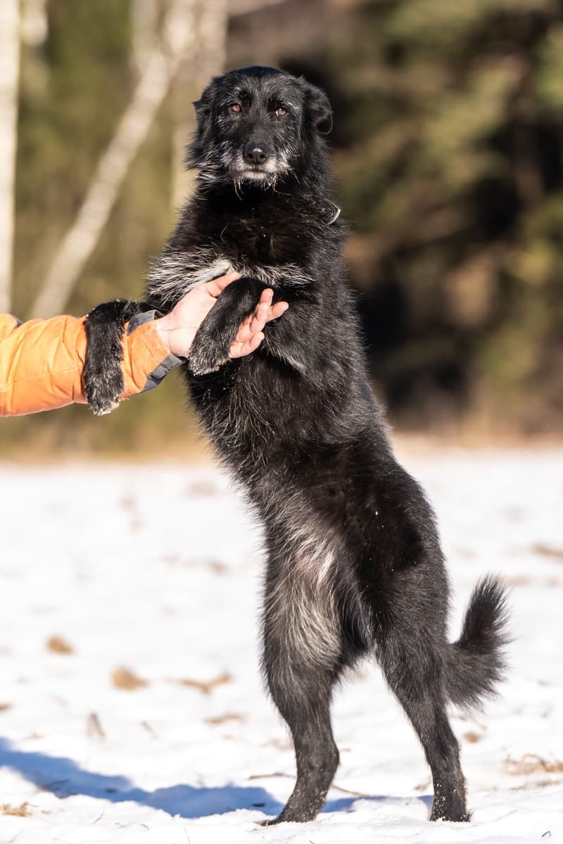 Веста медиа 5