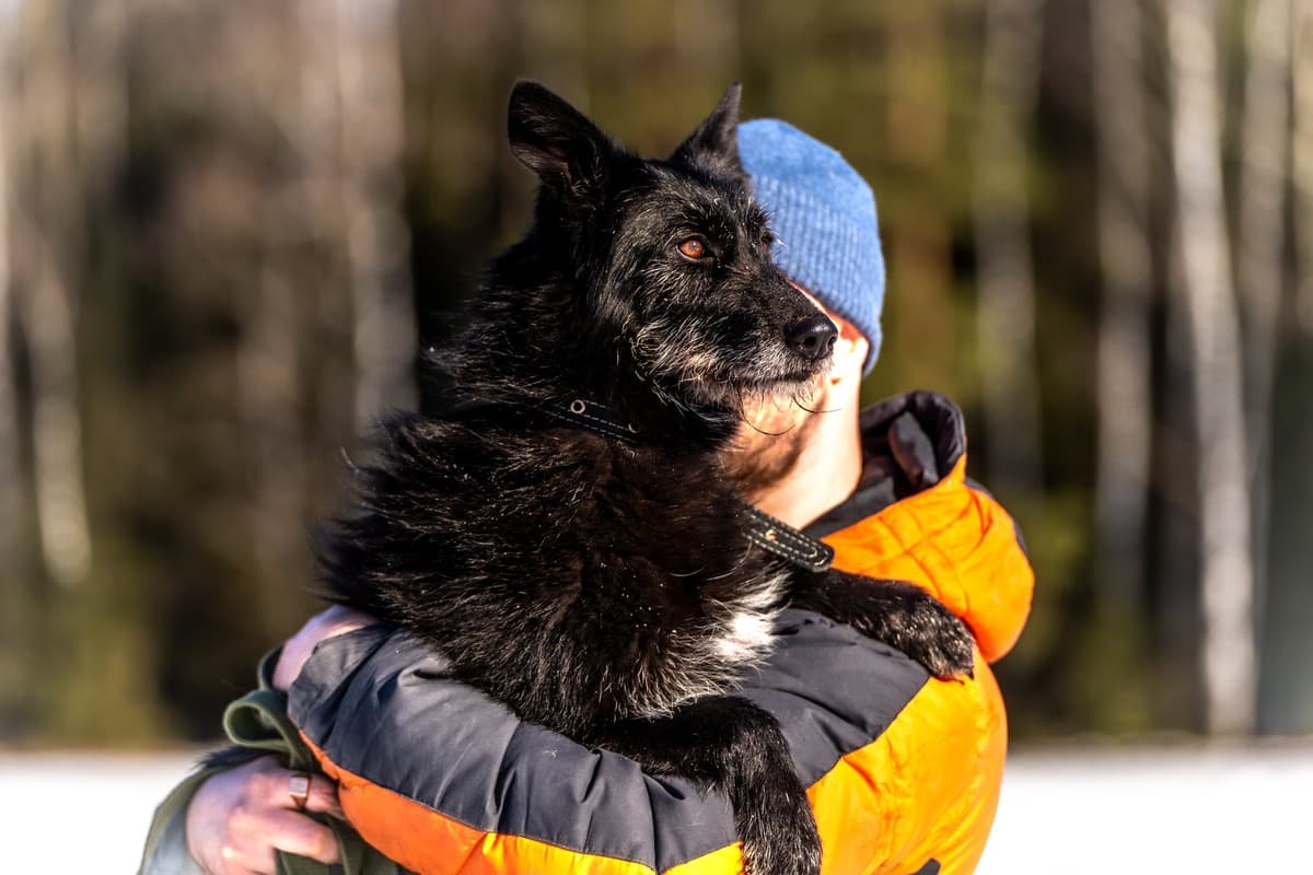 Веста медиа 6