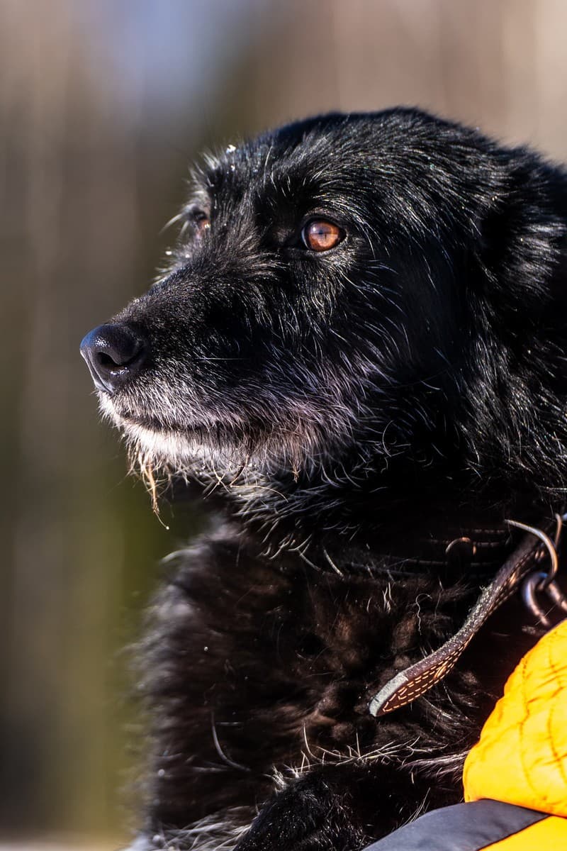 Веста медиа 7