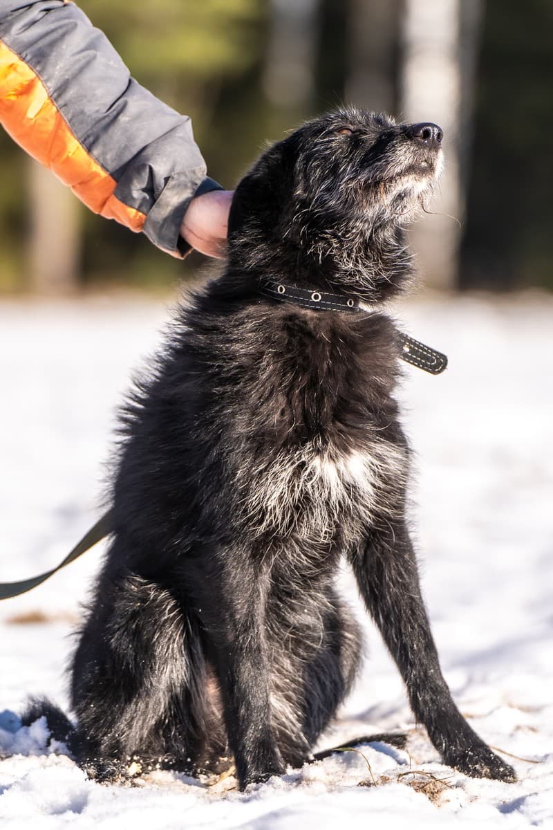 Веста медиа 8