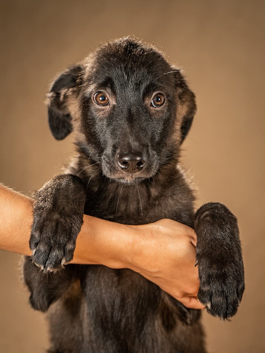 Нэйт медиа 2