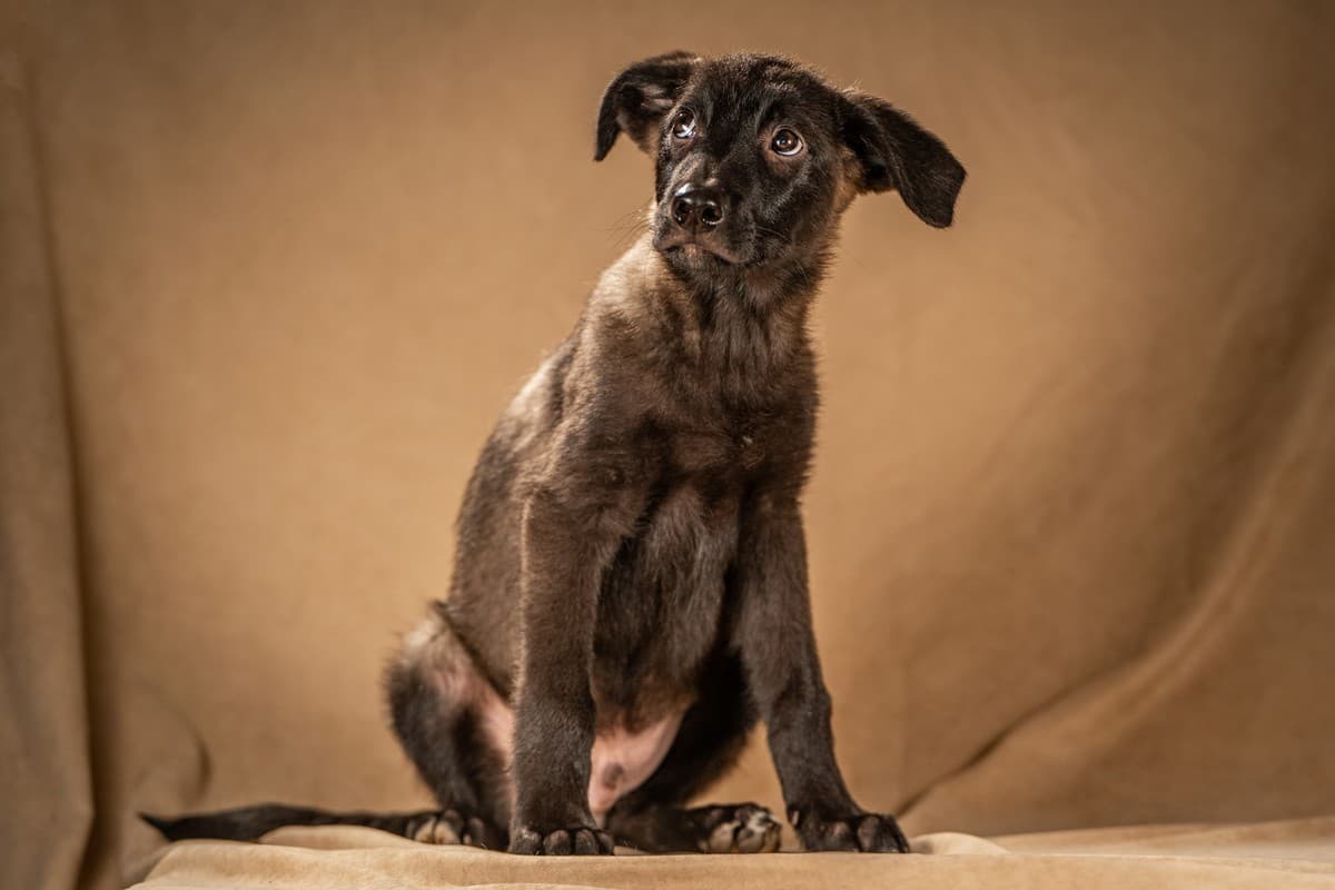 Нэйт медиа 7