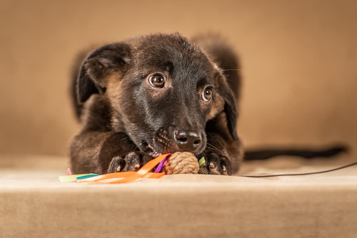 Нэйт медиа 5