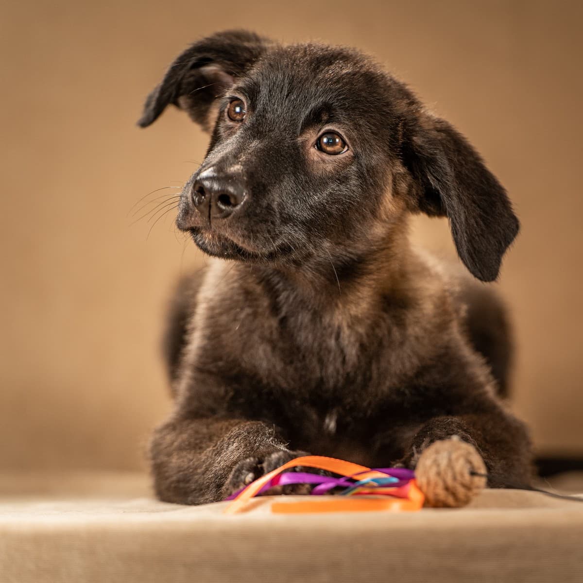 Нэйт медиа 9