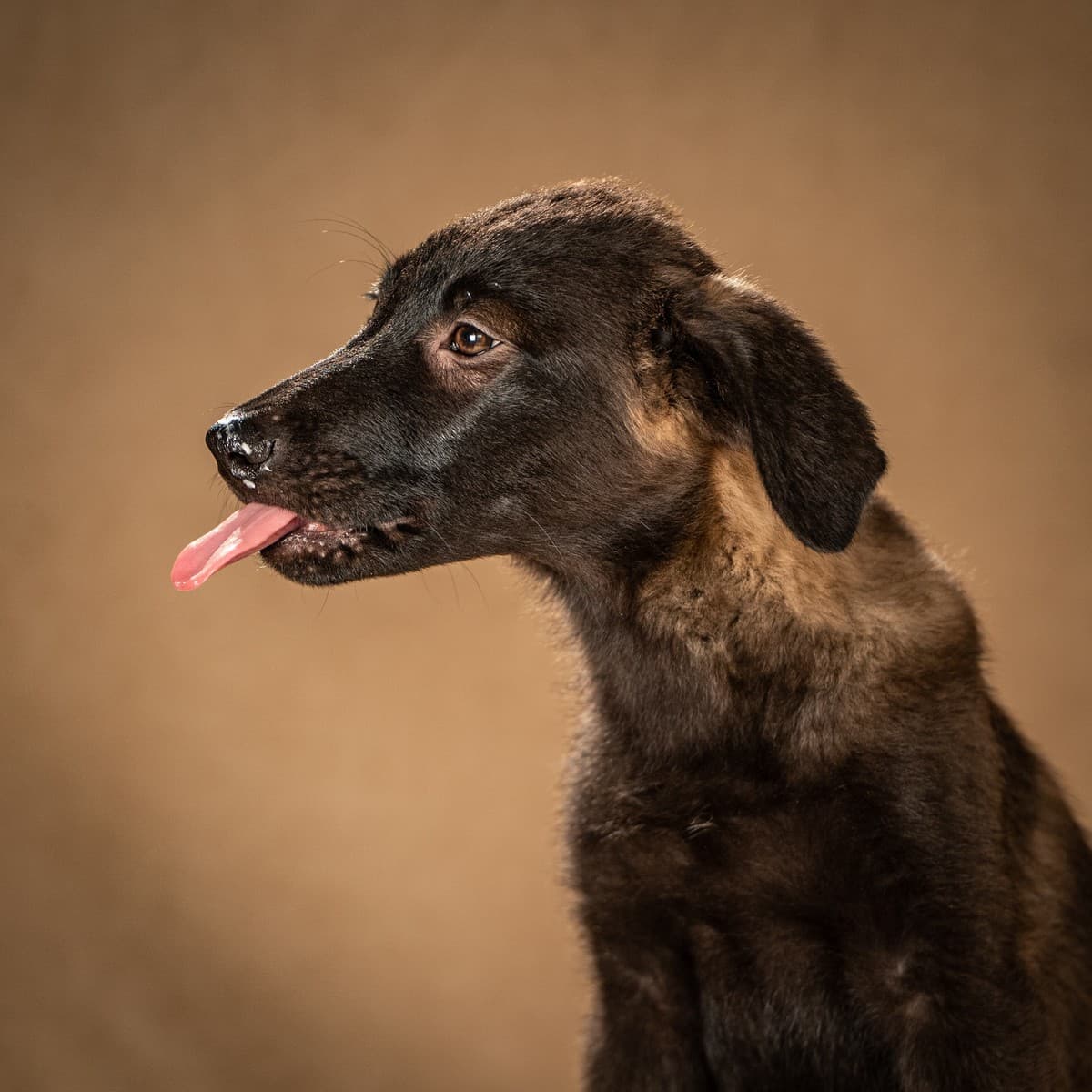 Нэйт медиа 6