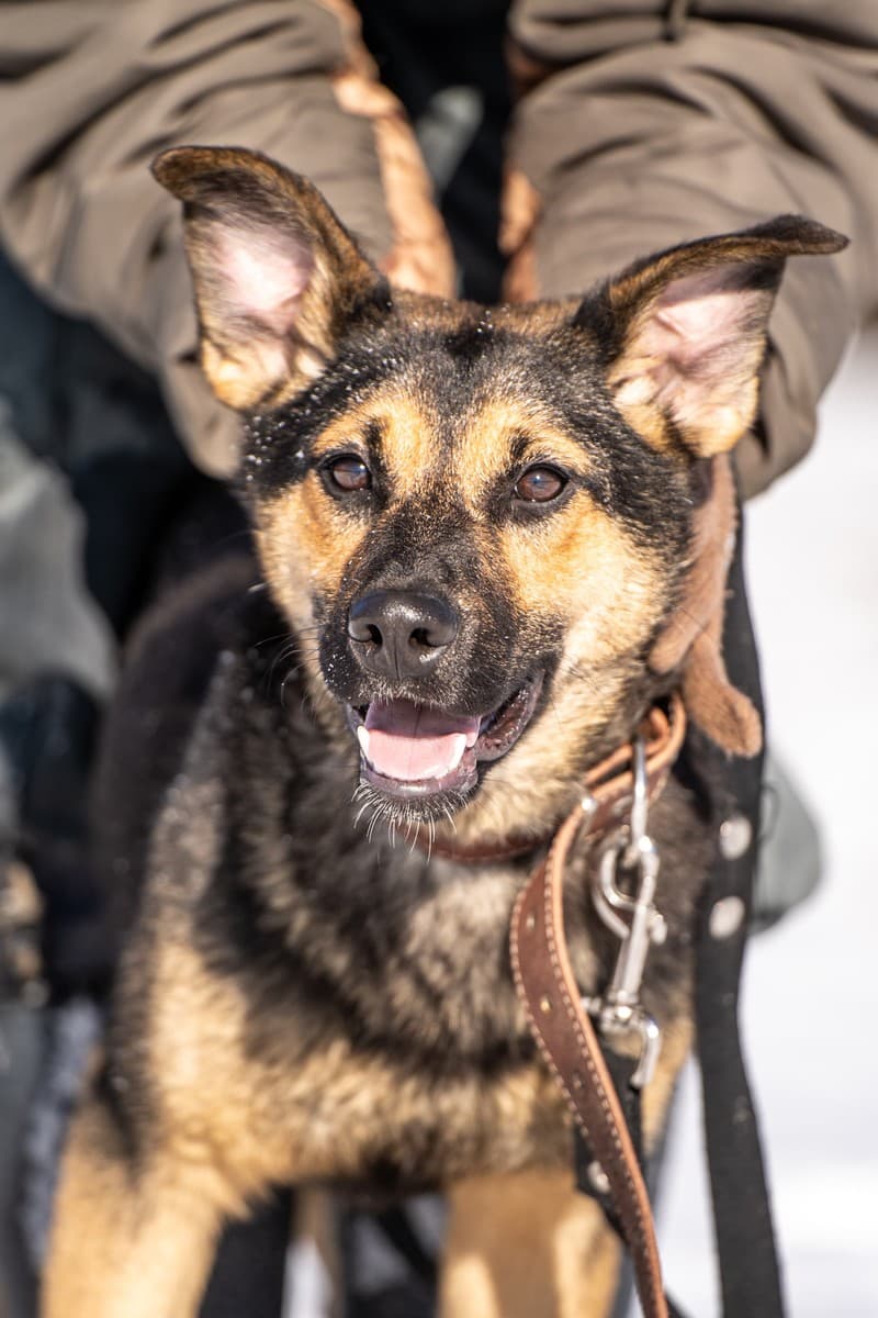 Доня медиа 7