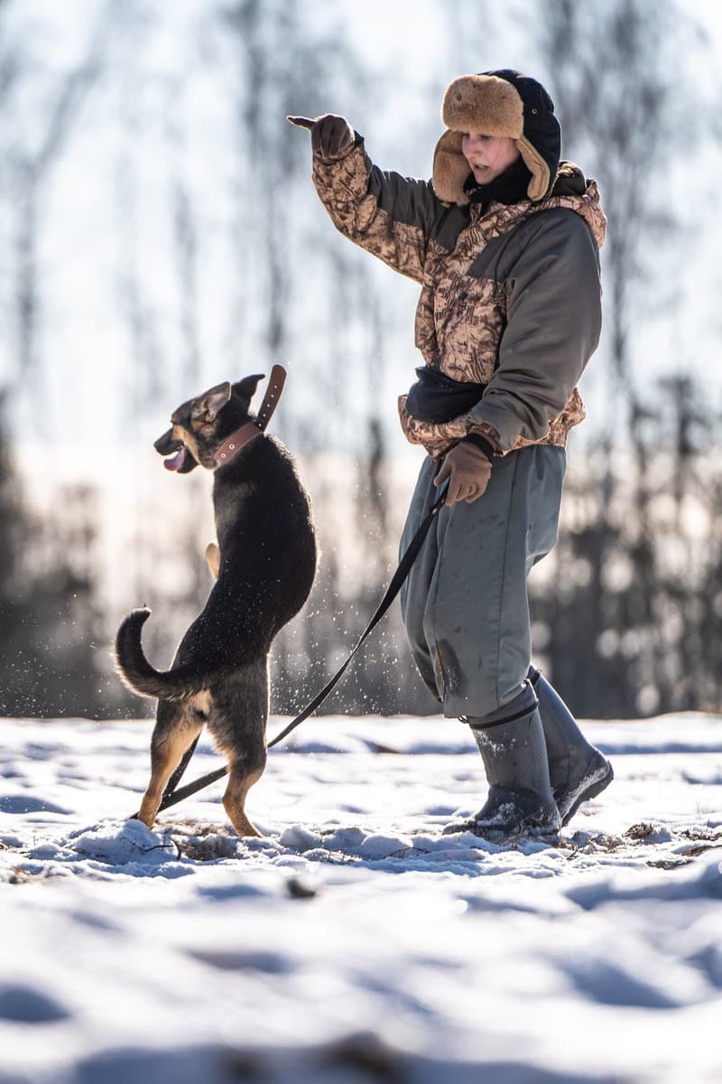 Доня медиа 5