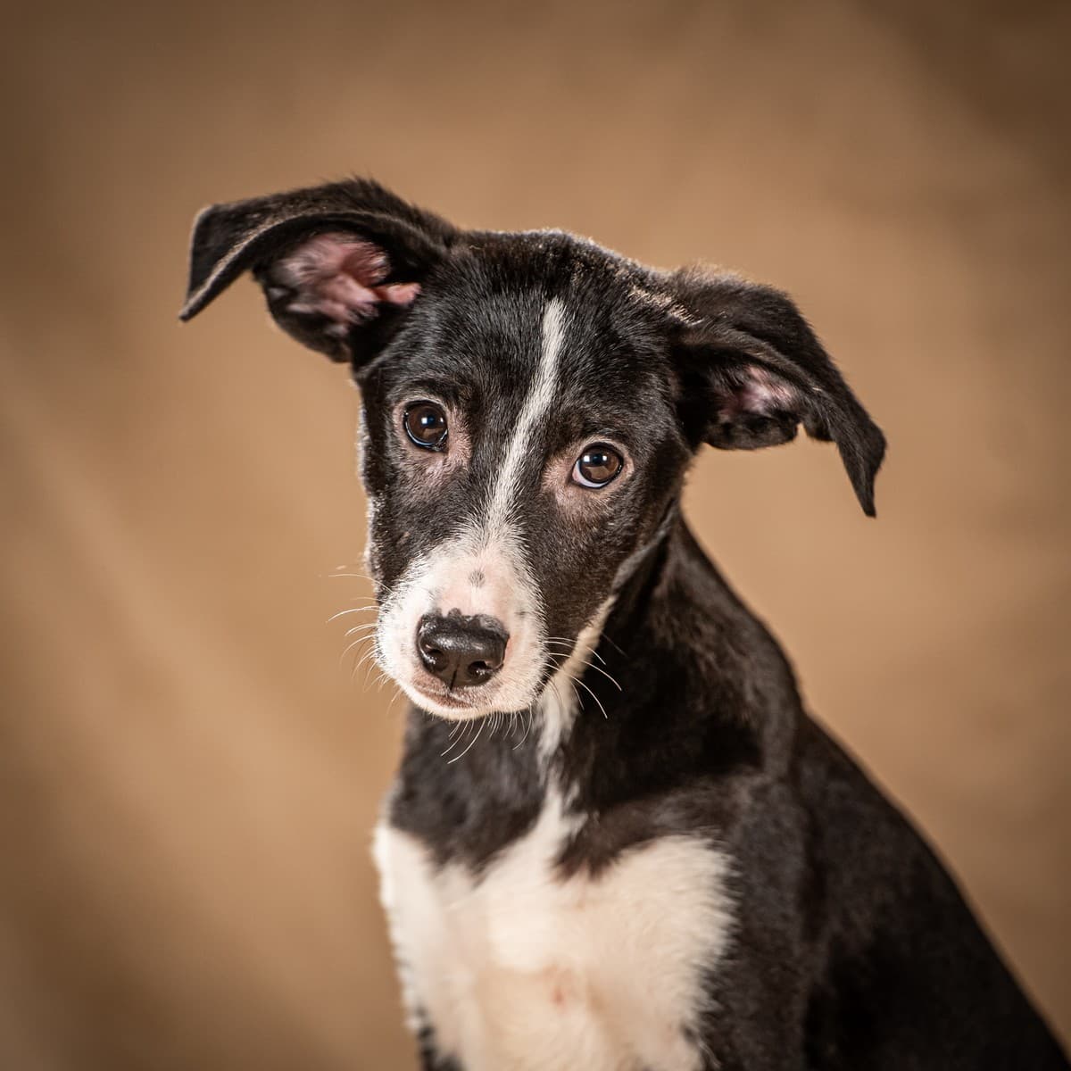 Нуара медиа 7