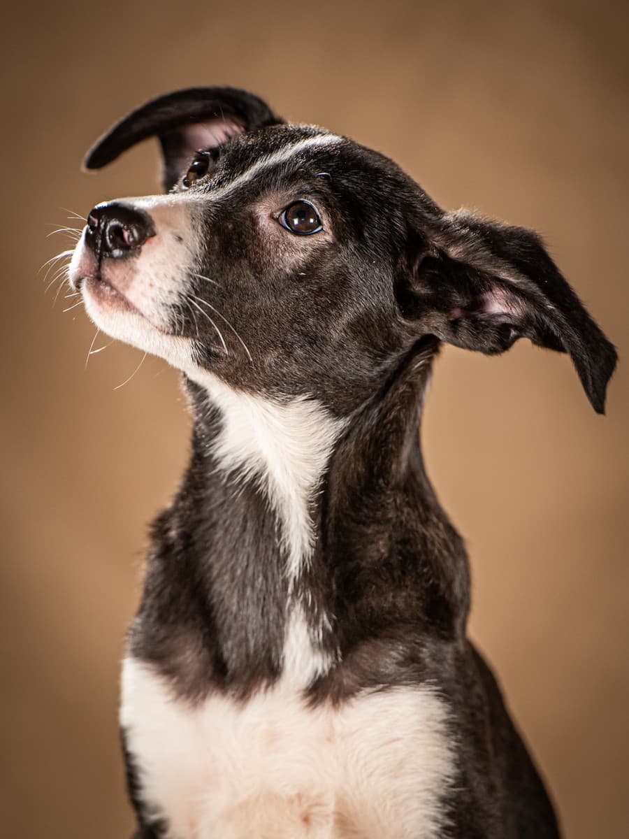 Нуара медиа 8