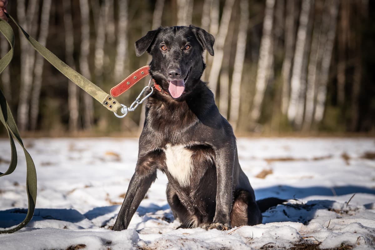 Гуччи медиа 5