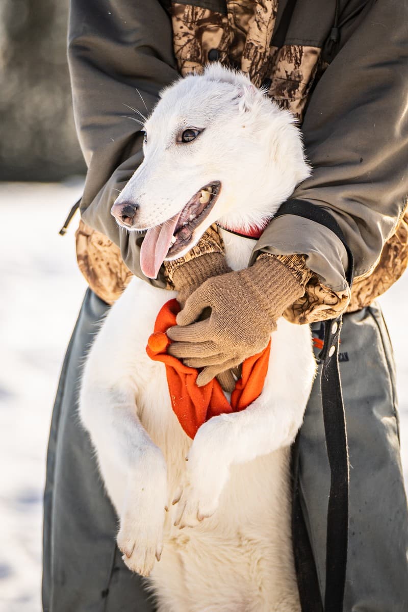 Ванда медиа 10