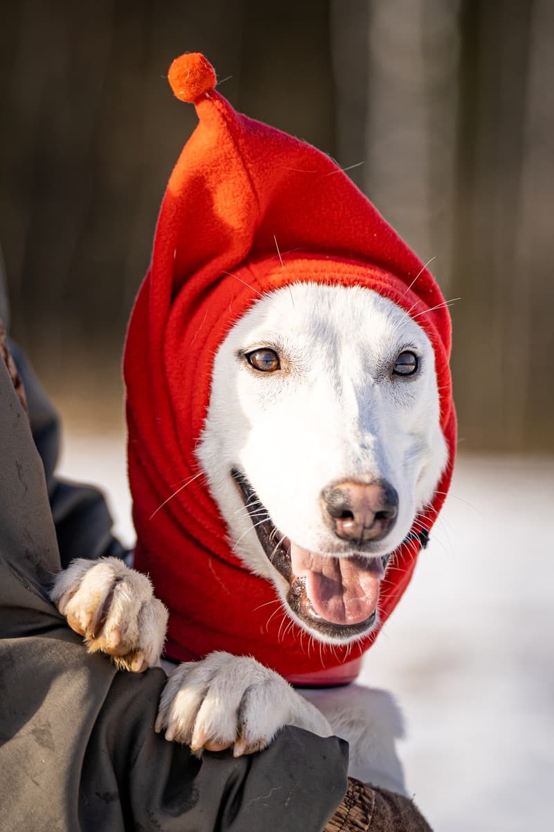 Ванда медиа 5