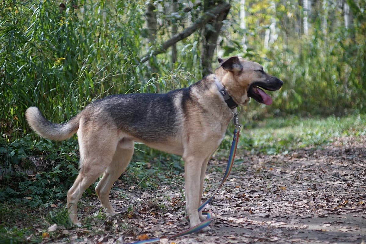 Урал медиа 7